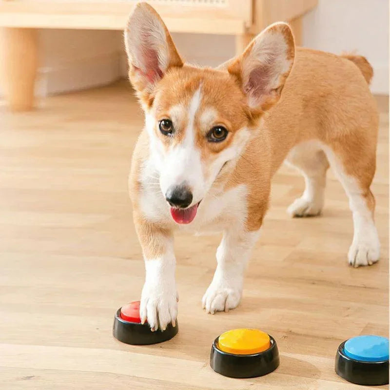Recordable Pet Talking Button for a thoughtful pet gift
